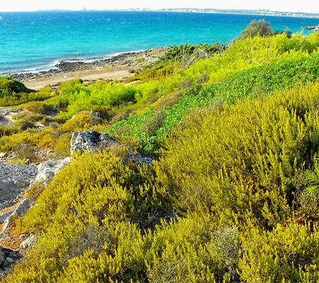 Gallipoli Punta Pizzo * مارينا دي مانكافيسا